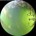 ./images/calvert/underwater/20260526/underwater20260526_161501M.jpg