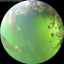 ./images/calvert/underwater/20260526/underwater20260526_163001M.jpg