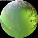 ./images/calvert/underwater/20260526/underwater20260526_165501M.jpg