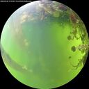 ./images/calvert/underwater/20260526/underwater20260526_171501M.jpg