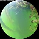 ./images/calvert/underwater/20260526/underwater20260526_184502M.jpg
