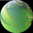 ./images/calvert/underwater/20260526/underwater20260526_193501M.jpg