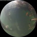 ./images/calvert/underwater/20260527/underwater20260527_051502M.jpg