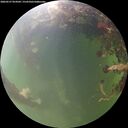 ./images/calvert/underwater/20260527/underwater20260527_054502M.jpg