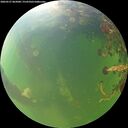 ./images/calvert/underwater/20260527/underwater20260527_062001M.jpg