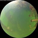./images/calvert/underwater/20260527/underwater20260527_064001M.jpg