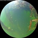 ./images/calvert/underwater/20260527/underwater20260527_070001M.jpg