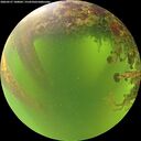 ./images/calvert/underwater/20260527/underwater20260527_100001M.jpg