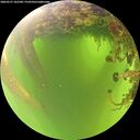 ./images/calvert/underwater/20260527/underwater20260527_102501M.jpg