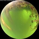 ./images/calvert/underwater/20260527/underwater20260527_103501M.jpg