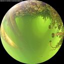 ./images/calvert/underwater/20260527/underwater20260527_104501M.jpg