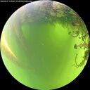 ./images/calvert/underwater/20260527/underwater20260527_112001M.jpg