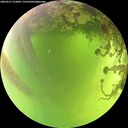 ./images/calvert/underwater/20260527/underwater20260527_122001M.jpg