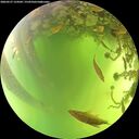 ./images/calvert/underwater/20260527/underwater20260527_124501M.jpg