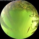 ./images/calvert/underwater/20260527/underwater20260527_131501M.jpg