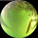 ./images/calvert/underwater/20260527/underwater20260527_132001M.jpg