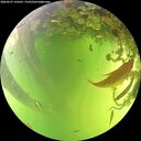 ./images/calvert/underwater/20260527/underwater20260527_133501M.jpg