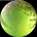 ./images/calvert/underwater/20260527/underwater20260527_134502M.jpg