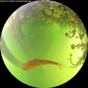 ./images/calvert/underwater/20260527/underwater20260527_135002M.jpg