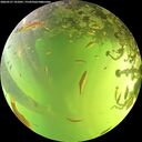 ./images/calvert/underwater/20260527/underwater20260527_141001M.jpg