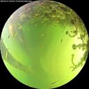 ./images/calvert/underwater/20260527/underwater20260527_143501M.jpg