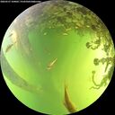 ./images/calvert/underwater/20260527/underwater20260527_144002M.jpg