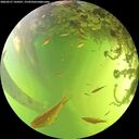./images/calvert/underwater/20260527/underwater20260527_144501M.jpg