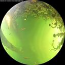 ./images/calvert/underwater/20260527/underwater20260527_151501M.jpg