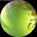 ./images/calvert/underwater/20260527/underwater20260527_153501M.jpg