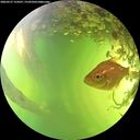 ./images/calvert/underwater/20260527/underwater20260527_154501M.jpg