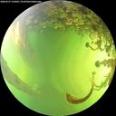 ./images/calvert/underwater/20260527/underwater20260527_155001M.jpg