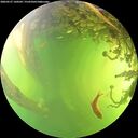 ./images/calvert/underwater/20260527/underwater20260527_160501M.jpg