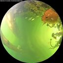 ./images/calvert/underwater/20260527/underwater20260527_161001M.jpg