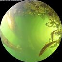 ./images/calvert/underwater/20260527/underwater20260527_161501M.jpg