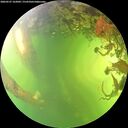 ./images/calvert/underwater/20260527/underwater20260527_162001M.jpg