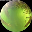 ./images/calvert/underwater/20260527/underwater20260527_164001M.jpg