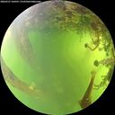 ./images/calvert/underwater/20260527/underwater20260527_164501M.jpg