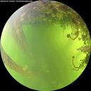 ./images/calvert/underwater/20260527/underwater20260527_165001M.jpg
