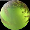 ./images/calvert/underwater/20260527/underwater20260527_165501M.jpg