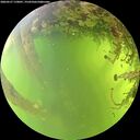 ./images/calvert/underwater/20260527/underwater20260527_170001M.jpg