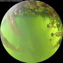 ./images/calvert/underwater/20260527/underwater20260527_171001M.jpg