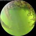 ./images/calvert/underwater/20260527/underwater20260527_172001M.jpg