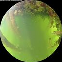 ./images/calvert/underwater/20260527/underwater20260527_172501M.jpg