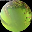 ./images/calvert/underwater/20260527/underwater20260527_175502M.jpg