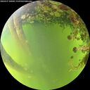 ./images/calvert/underwater/20260527/underwater20260527_180001M.jpg