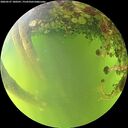./images/calvert/underwater/20260527/underwater20260527_180501M.jpg