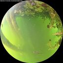 ./images/calvert/underwater/20260527/underwater20260527_181501M.jpg
