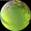 ./images/calvert/underwater/20260527/underwater20260527_182002M.jpg