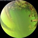 ./images/calvert/underwater/20260527/underwater20260527_184001M.jpg