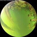 ./images/calvert/underwater/20260527/underwater20260527_184501M.jpg